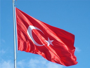 Турция желает получить место в Совете директоров МВФ