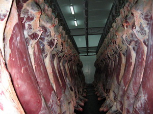 В Генпрокуратуре возбуждено уголовное дело по факту продажи мяса умерших животных