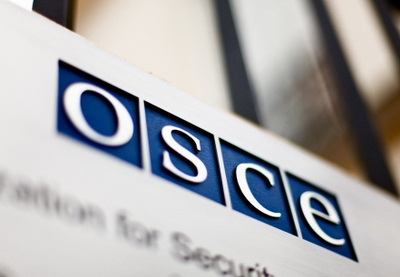 Представитель ОБСЕ призвала полицию и журналистов не мешать работе друг друга