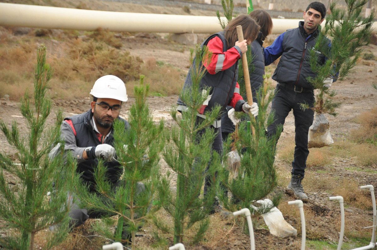 Более 400 деревьев было посажено на столетие Holcim - ФОТО