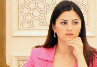 Делегация Азербайджана в ПАСЕ подвергла сомнению объективность доклада Штрассера