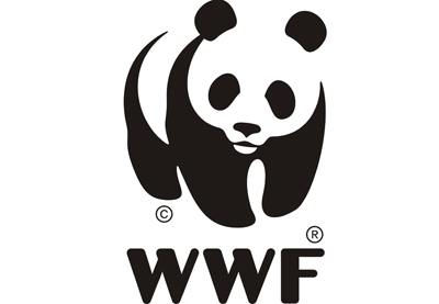 Директор WWF в Азербайджане: «В советское время наш леопард был объявлен врагом народного хозяйства и подлежал истреблению…»