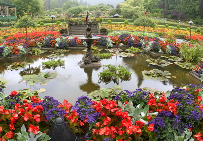 Самые красивые цветочные плантации и парки мира – ФОТО