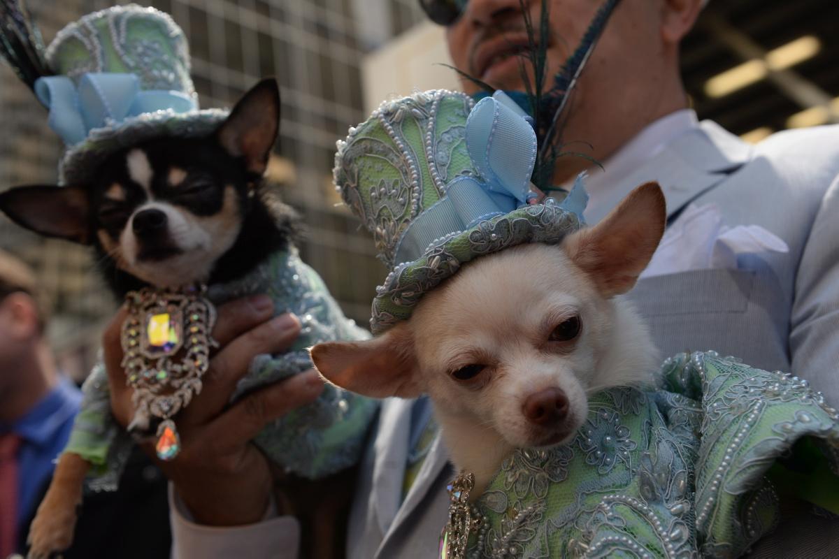 В Нью-Йорке прошел парад необычных шляп - ФОТО - ВИДЕО