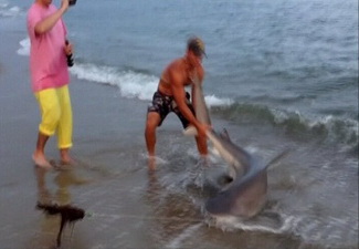 Рыбак поймал на удочку акулу весом 365 кг