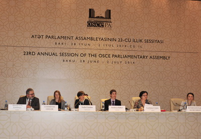 Экстремизм, радикализм и ксенофобия – в центре внимания сессии ПА ОБСЕ в Баку