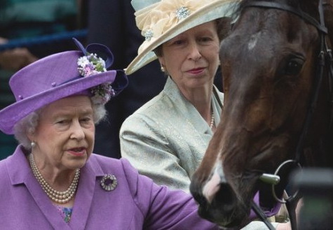 Скаковая лошадь королевы Елизаветы II не прошла тест на допинг