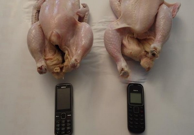 В Баку заключенному пытались передать мобильные телефоны в курицах – ФОТО