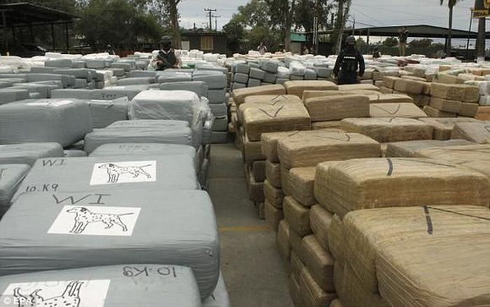 В Перу изъята рекордная партия кокаина