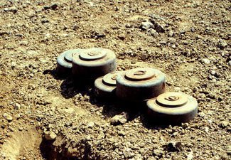 В Лянкаране найдены противотанковые мины