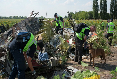 Немецкая разведка: Киев сфальсифицировал данные по катастрофе Boeing
