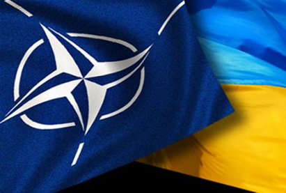 Госдеп: США поддерживают стремление Украины войти в НАТО