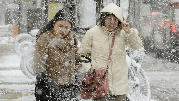 Жертвами снегопадов в Японии стали девять человек