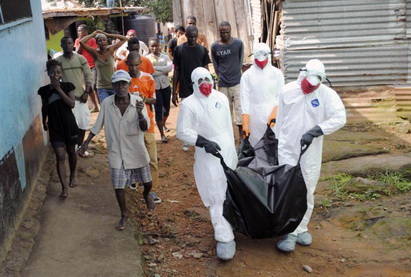 ВОЗ: число жертв вируса Эбола достигло 7518 человек