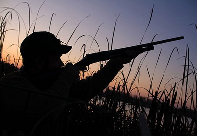 В Азербайджане проведены рейды по пресечению незаконной охоты