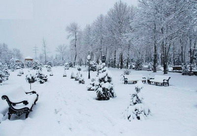 В некоторых районах Азербайджана толщина снежного покрова достигла 35 см