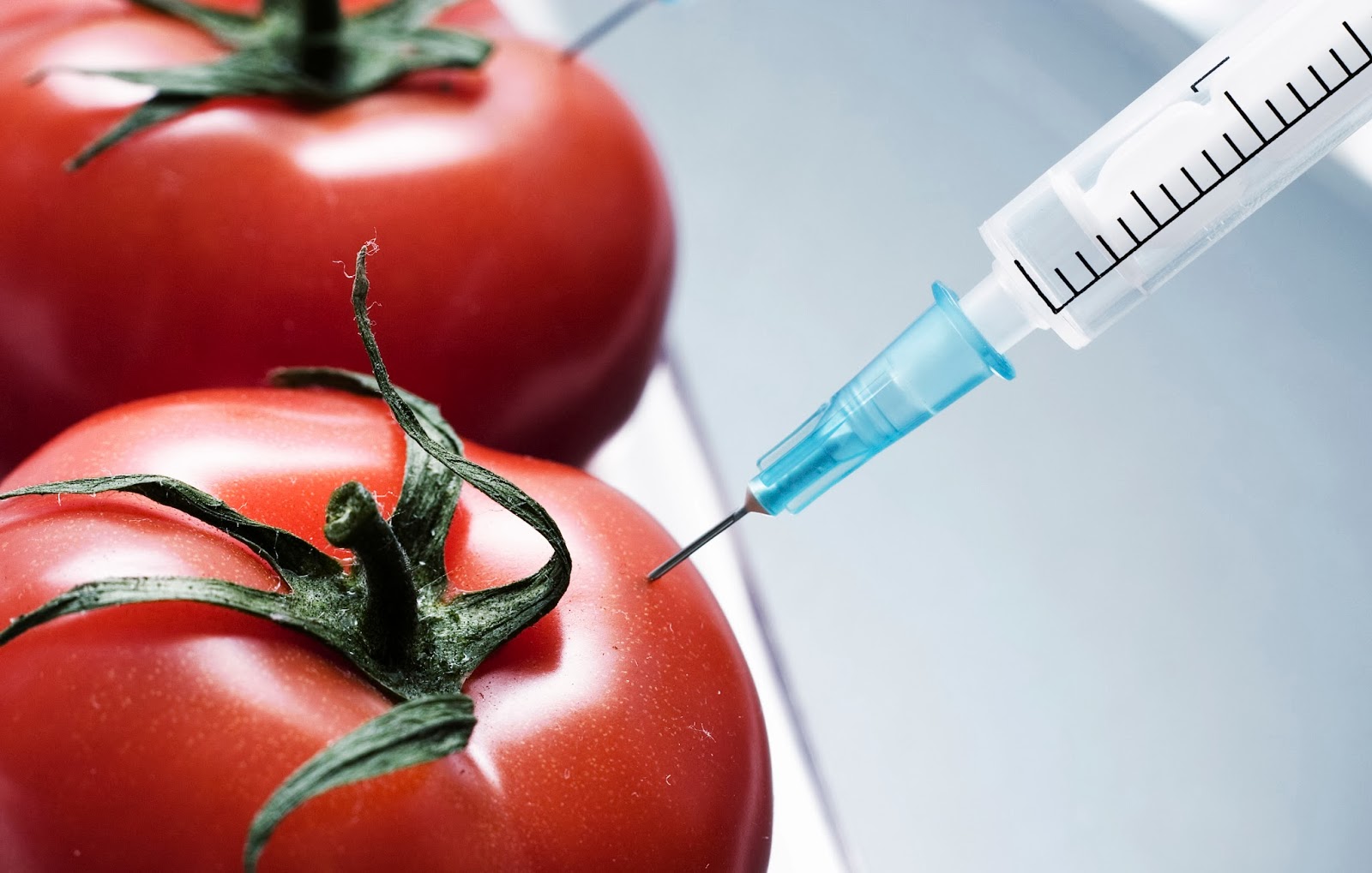 За продукты питания из ГМО в Азербайджане будут привлекать к уголовной ответственности
