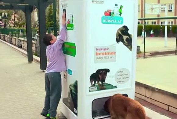 Автомат, который кормит бездомных животных - ФОТО - ВИДЕО