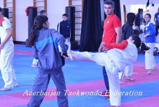 Азербайджанские таэквондисты выступят на турнире в Австрии