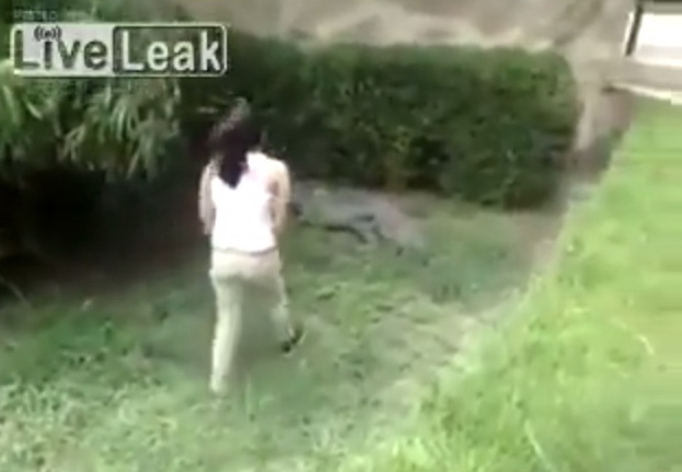 В Мексике девушка прыгнула в вольер с крокодилом - ВИДЕО