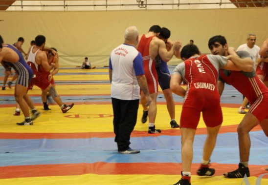 Азербайджанские борцы ведут подготовку к чемпионатам мира и Европы