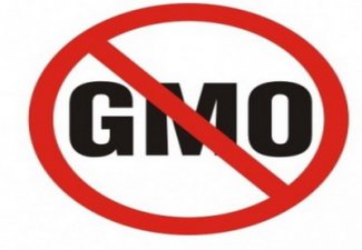 Госкомстандартизации не обнаружил ГМО в первых переданных на анализ образцах