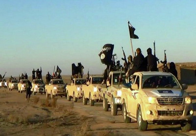 Турция должна делать больше для борьбы с ИГИЛ, заявил глава Пентагона
