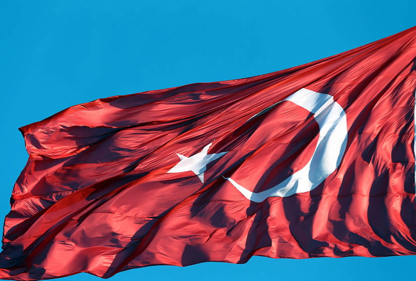 Досрочные парламентские выборы в Турции пройдут 1 ноября