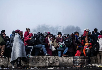 В Германии планируют размещать мигрантов на круизных кораблях