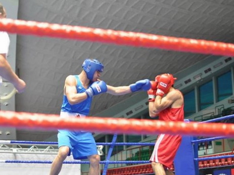 Азербайджанские боксеры вышли в финал чемпионата Европы