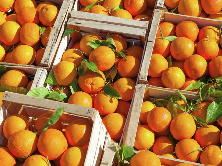 Богатые турки скупили 10 тонн апельсинов, подпавших под российские санкции, и раздали людям - ВИДЕО