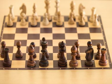 Международный шахматный матч сыграют в Антарктиде