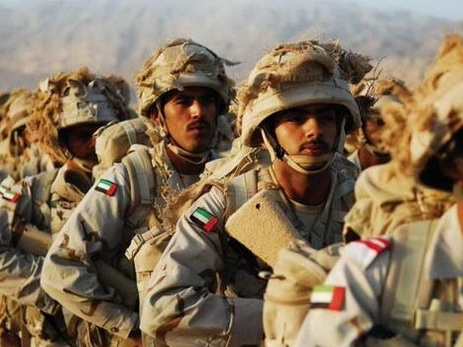 ОАЭ готовы отправить в Сирию сухопутные войска для борьбы с ИГИЛ