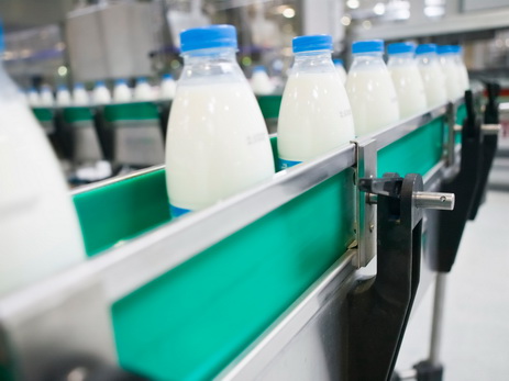 USAID профинансировал оптимизацию молочного производства в Имишли