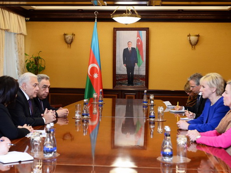 Парламентская дипломатия играет важную роль в развитии азербайджано-шведских связей - ФОТО