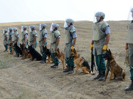 ANAMA готово к разминированию территорий, освобожденных армией Азербайджана