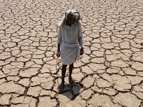 От жары в штате Телангана в Индии погибло 219 человек