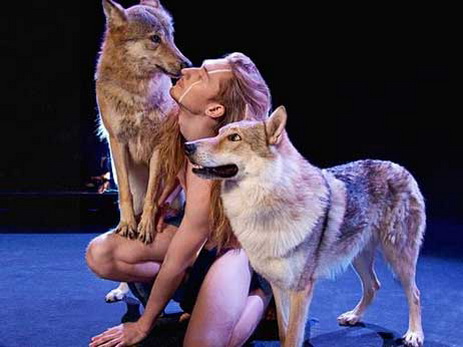 Участнику «Евровидения 2016» разрешили спеть голым и с волками в эфире конкурса – ФОТО