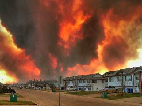 США направили спасателей в Канаду на борьбу с лесными пожарами