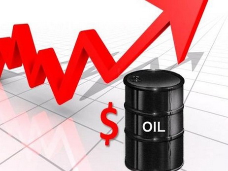 Цены на нефть марки Brent пробили отметку в $ 50 за баррель