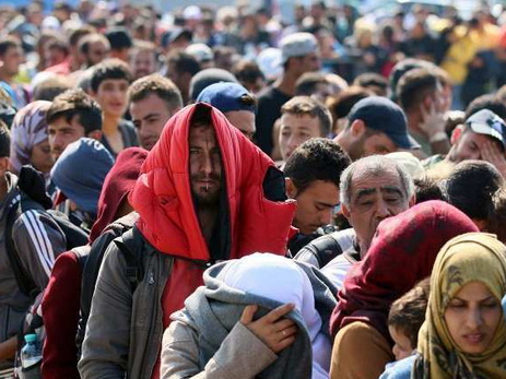 Власти Германии отмечают рост числа нападений на беженцев