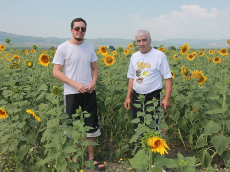 Start Up. MyHoney - о пчеловодстве, настоящем азербайджанском меде и казусах на пасеке – ФОТО