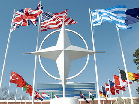 В Азербайджане открылась очередная сессия Международной школы НАТО