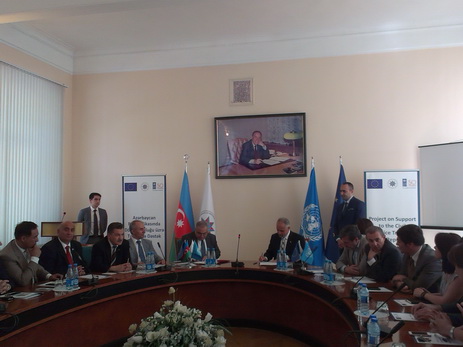 ООН и ЕС поддержат Азербайджан в развитии эффективной системы госуправления - ФОТО