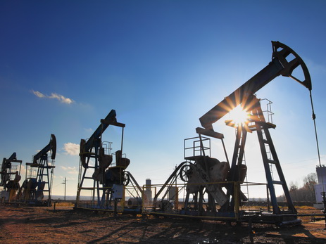 Стоимость нефти марки Brent опустилась до $45,63 за баррель