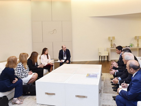 Мехрибан Алиева встретилась с делегацией Палаты депутатов Национального конгресса Аргентины - ФОТО