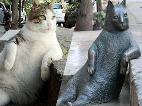 В Стамбуле поставили памятник «владыке улиц» - коту Томбили - ФОТО