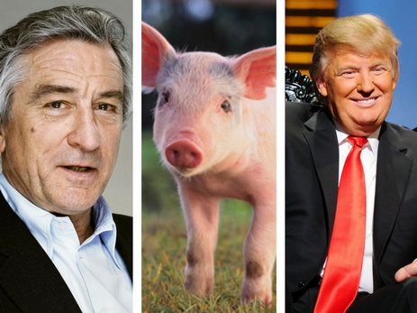 Роберт Де Ниро назвал Трампа свиньей и позором США – ВИДЕО