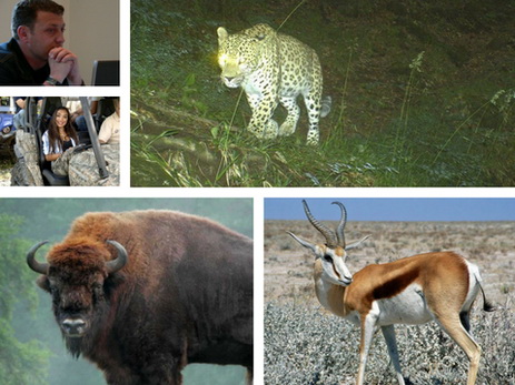 Может ли Азербайджан восстановить численность многих исчезнувших видов животных?
