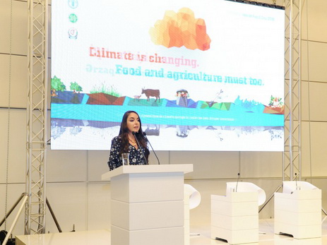 Лейла Алиева: Изменение климата требует изменения способов производства и потребления продовольствия - ФОТО
